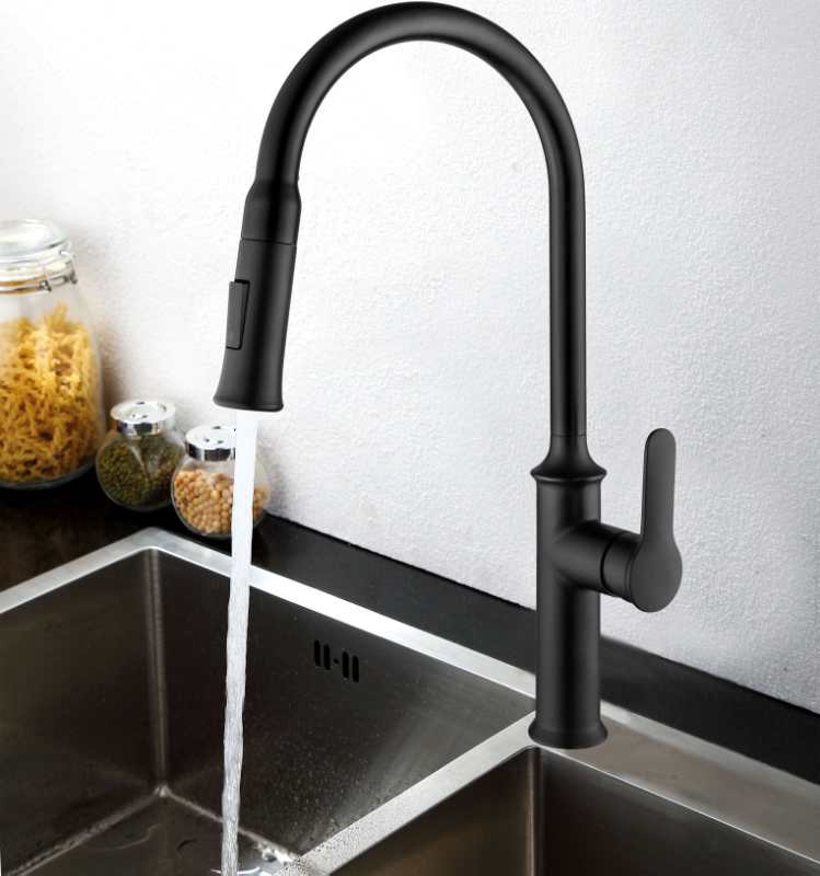 Kitchen faucet